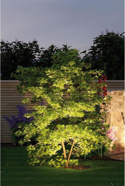Image du produit Paulmann Plug & Shine Sting Ergänzungsset (520 lm, IP67)