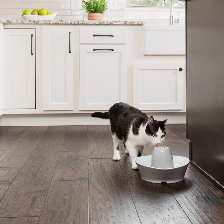 Actual product image PetSafe Streamside ceramic drinking fountain (1.80 l)