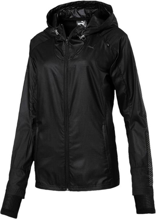 Puma Nightcat (M)