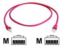 Image du produit Telegärtner MP8 FS 600 (S/FTP, CAT6a, 15 m)