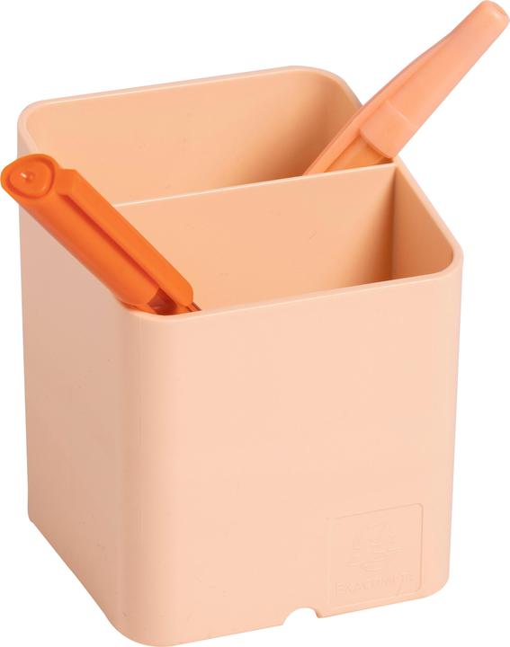 Actual product image Exacompta Pen Cube pen holder