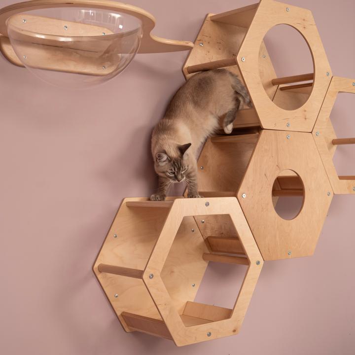 Image du produit Wowhelperco Aire de jeux murale pour chats 8 pièces (Nature)