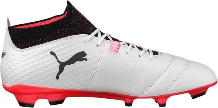 Produktbild Puma One 17.1 FG (43)