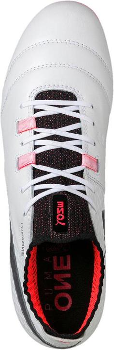 Produktbild Puma One 17.1 FG (43)