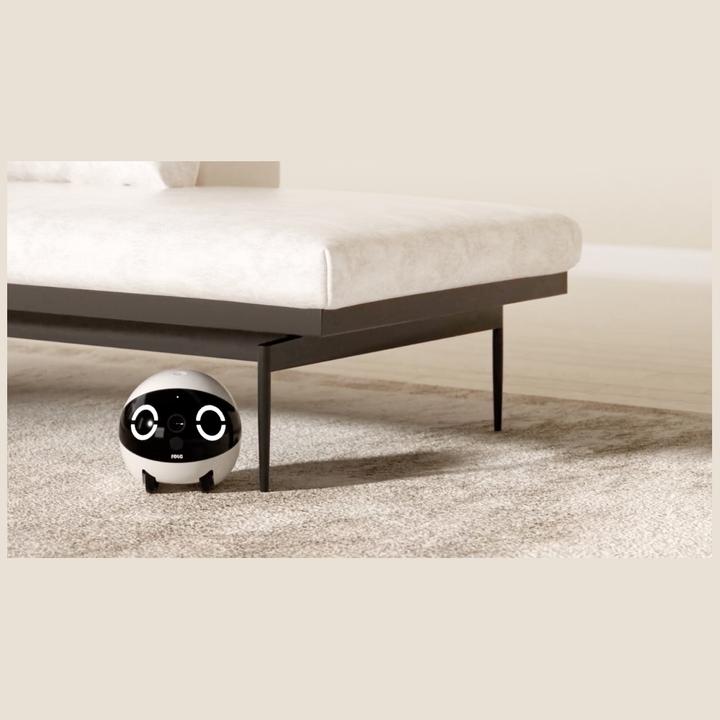 Image du produit Enabot Mini robot compagnon Rola (2304 x 1296 Pixels)