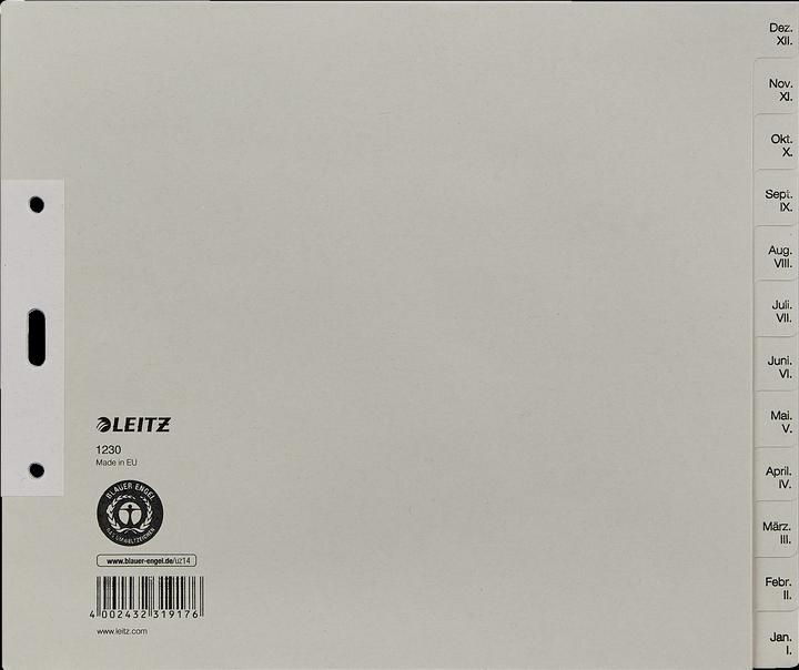 Actual product image Leitz Papierregister Monate