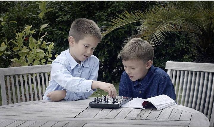Actual product image Millennium Karpov Chess School
