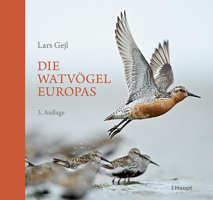 Image du produit Die Watvögel Europas (Allemand, Kirsten Nutto, Martina Wiese, Lars Gejl, 2024)