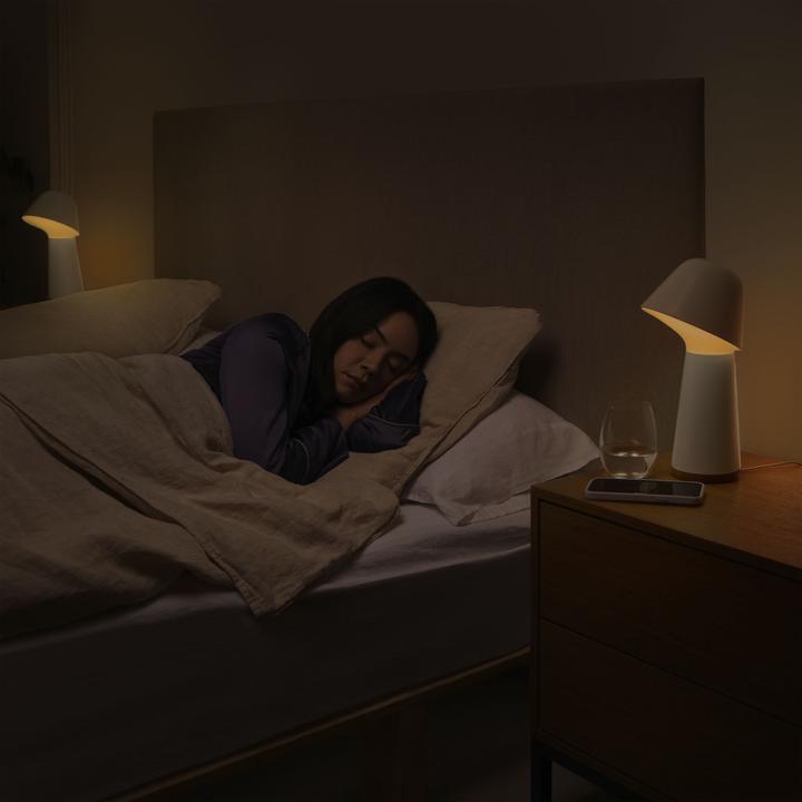 Actual product image Philips Hue White & Color Ambiance Twilight (1380 lm)