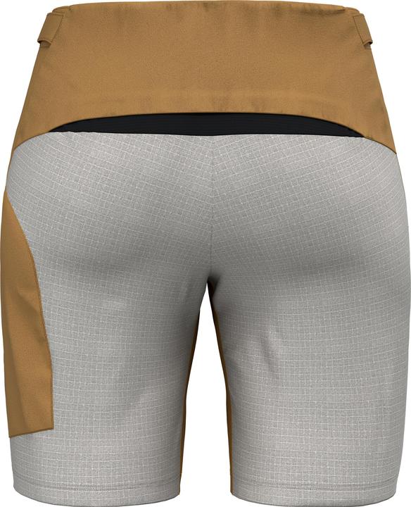 Actual product image Salewa Vento Hemp/Dst Shorts W (38, M)