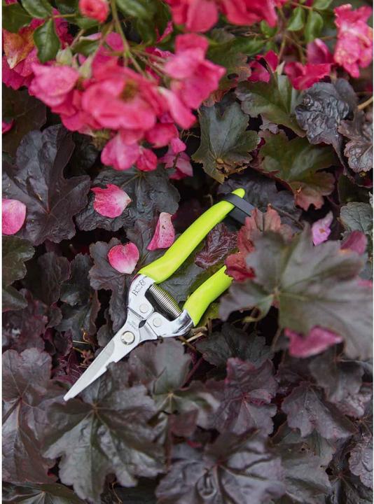Image du produit Burgon & Ball Ciseaux à fleurs FloraBrite
