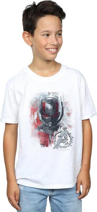 Actual product image Boys Avengers Endgame Ant-Man Brushed T-Shirt (152, 158)