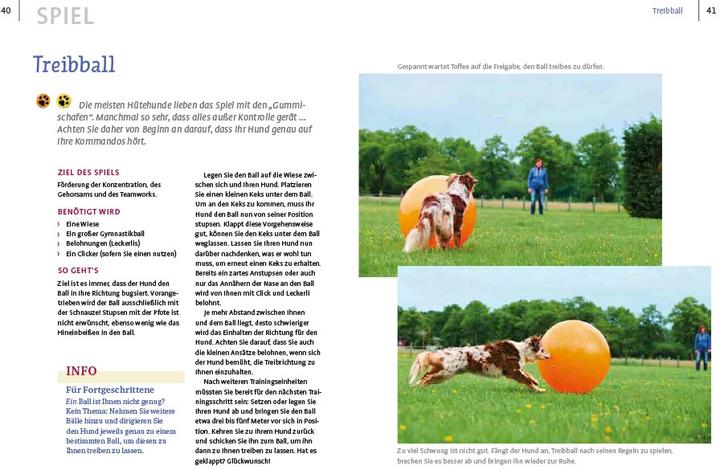 Immagine prodotto Spiele und Action für ausgeglichene Hütehunde (Tedesco, Marion Albers, 2023)
