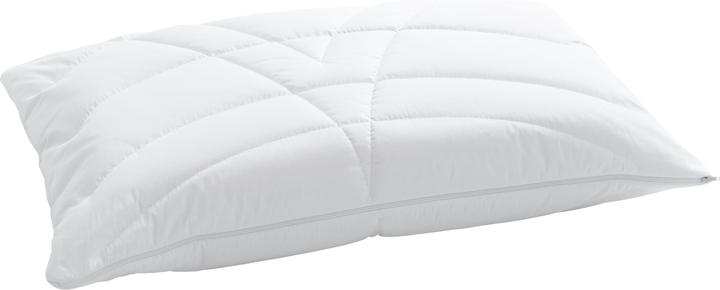 Produktbild Billerbeck Climacontrol (50 x 70 cm)