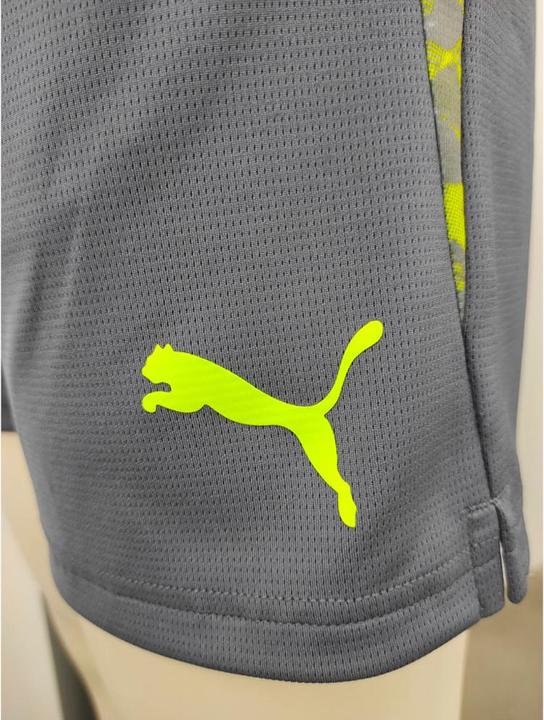 Actual product image Puma individualCUP shorts (XL)