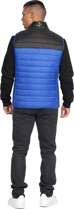 Actual product image Crosshatch Mens Presnell High-Neck Gilet (XL)