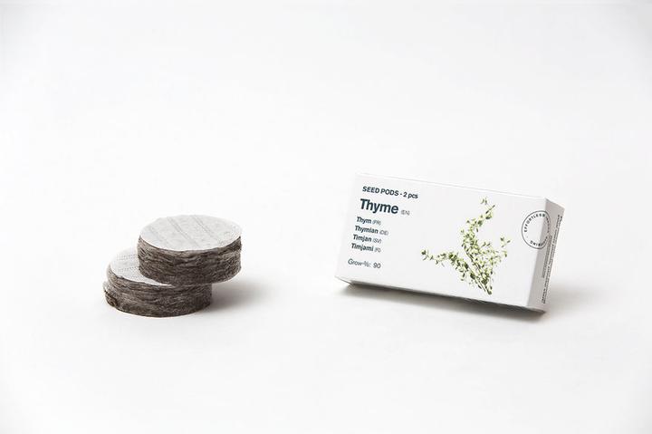 Image du produit Tregren La graine de thym (Graines d'herbes aromatiques)