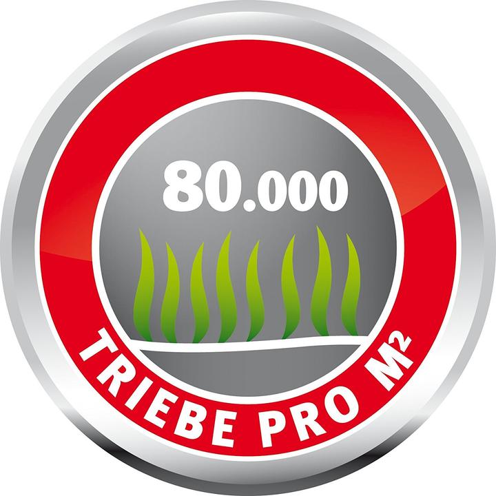 Image du produit Wolf-Garten Wolf Garten LJ100 Graines de gazon résistant (Réensemencement de la pelouse)