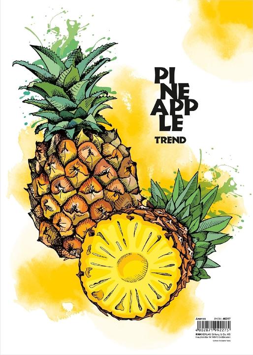 Immagine prodotto Rnk Cartella da disegno A4 ananas (A4, 1 x)