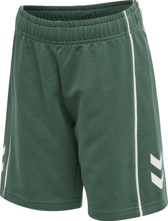 Image du produit hummel Hmldexter Shorts (122)