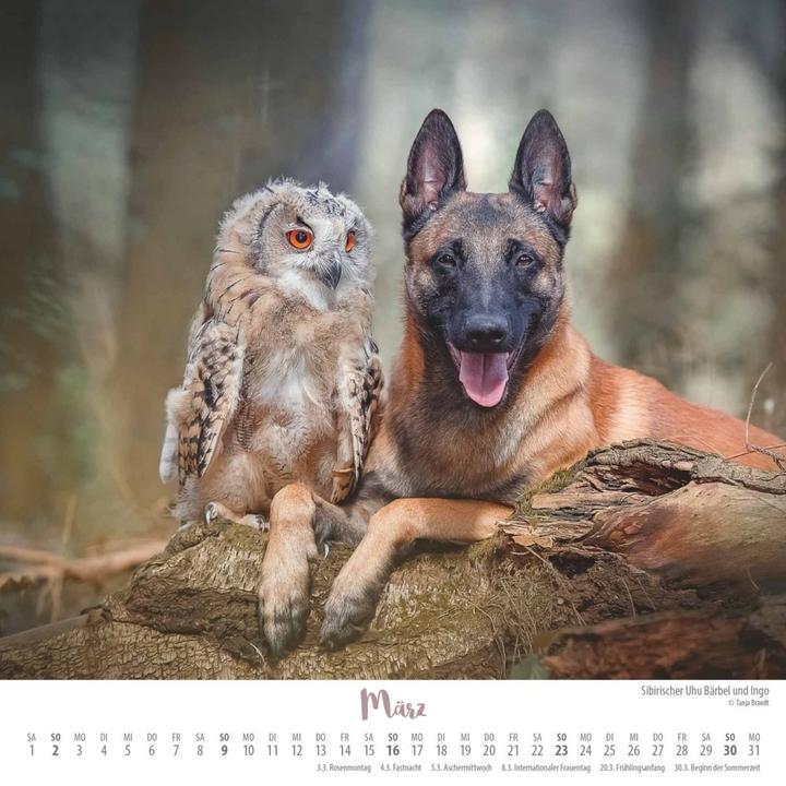 Produktbild Wo die Liebe hinfliegt 2025 – Ingo, Poldi und Freunde – Wandkalender mit Spiralbindung – (23 x 23 cm, Harter Einband, Deutsch)