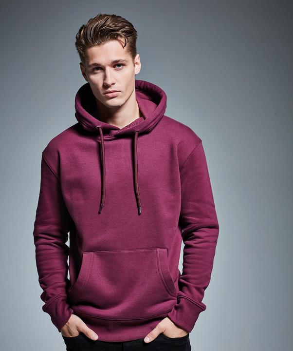 Image du produit Anthem Sweat à capuche issu de l'agriculture biologique (XL)