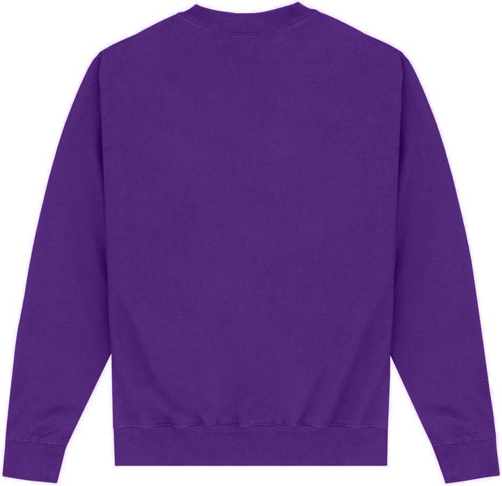 Actual product image Street Fighter Unisex Adult Juri's Dojo Sweatshirt (XL)