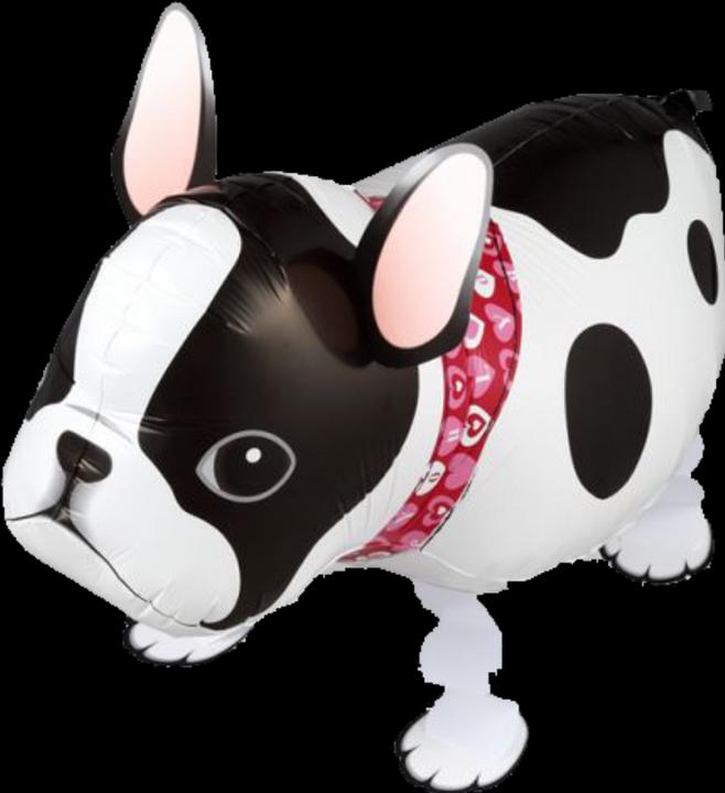 Actual product image Grabo Mini Walker Dog French Bulldog 54 cm long