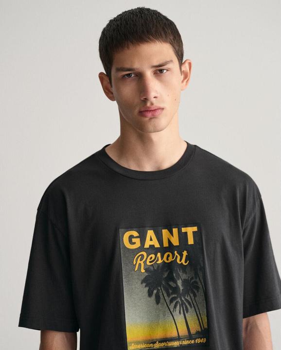 Immagine prodotto GANT t-shirt washed graphic (L)