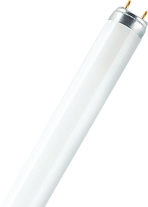 Image du produit Osram Lampe fluorescente (G13, 18 W, 1350 lm, 1 x, G)