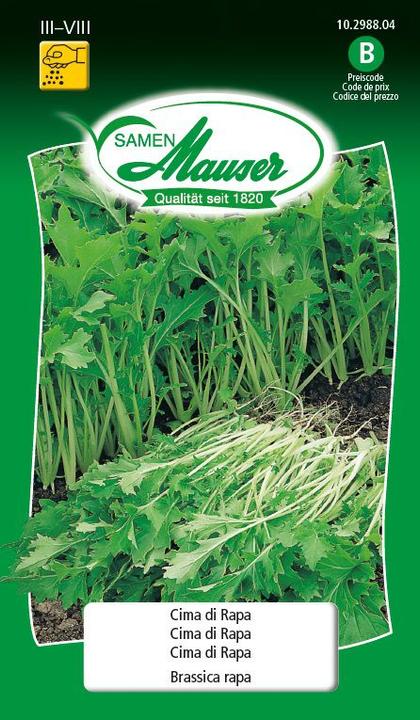 Immagine prodotto Samen Mauser Cima di rapa (Semi di verdura)