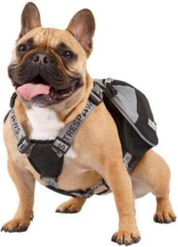 Image du produit Trespass SNOOPER - Harnais à dos de chien (S, Chien)