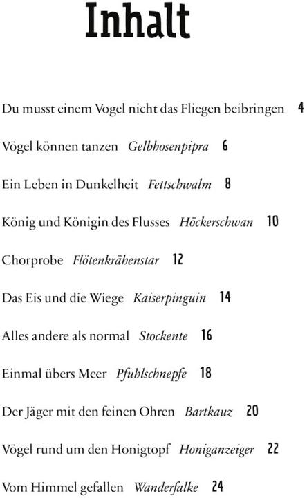 Image du produit Aus der Vogelperspektive (Allemand, Tim Birkhead, Catherine Rayner, Rita Gravert, 2023)