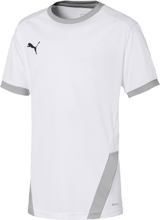 Puma White-Gray Violet