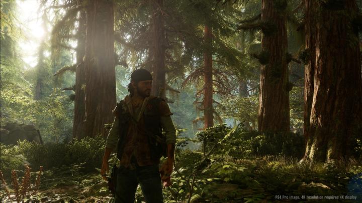 Actual product image Sony Days Gone, PS4 Standard PlayStation 4 (PS4)