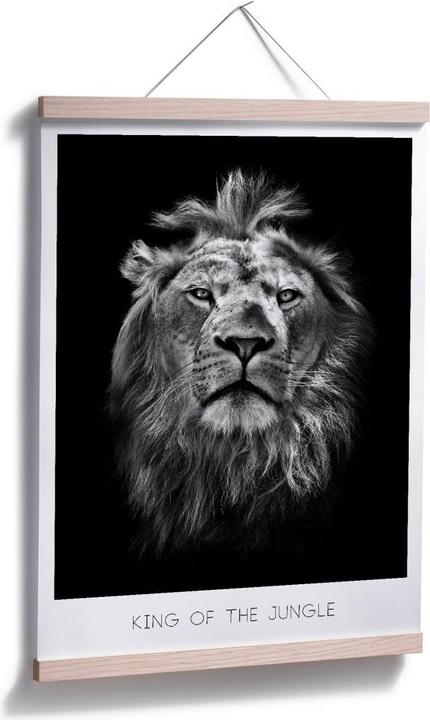 Produktbild Trenddeko Lion - King of the Jungle (100 x 120 cm)