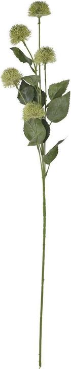 Immagine prodotto Hill Interiors Cardo Mariano Spray Fiore Artificiale (18 cm)