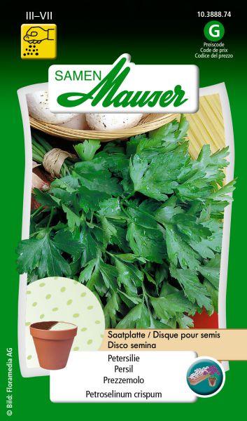 Actual product image Samen Mauser Parsley seed plate (Herb seeds)