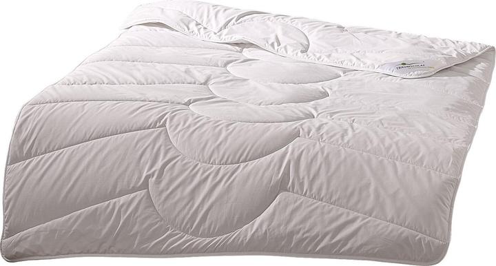 Produktbild Traumschlaf Kamelhaar Nature (2400 g, 240 x 220 cm)