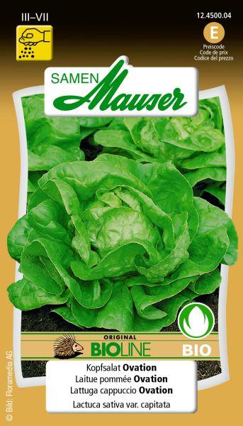 Produktbild Samen Mauser Knospe Bio Kopfsalat Ovation (Gemüsesamen)