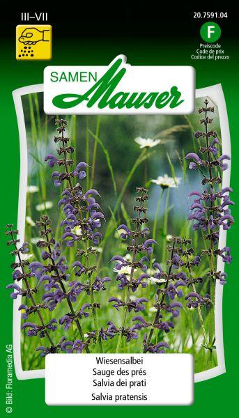 Image du produit Samen Mauser Sauge des prés (Réensemencement de la pelouse)