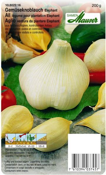 Produktbild Samen Mauser Gemüseknoblauch Elephant (Gemüsesamen)