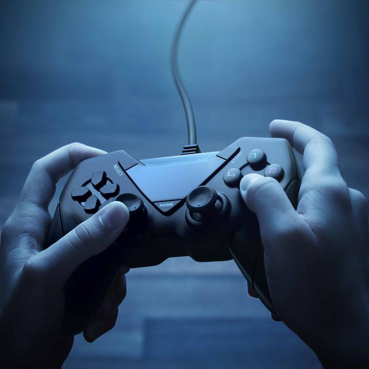 Actual product image CSL 2x Gamepad Set, Gaming USB Controller for Android, PC / PS3 / Playstation / Direct-Input / X-Input (Android, PC)