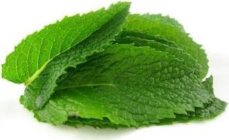 Immagine prodotto Samen Mauser Mojito e Hugo Mint (Semi di erbe)