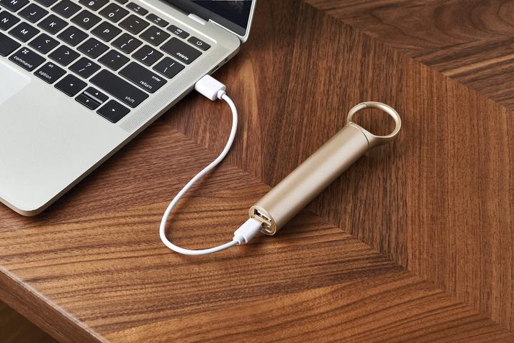 Actual product image Lexon Nomaday Power Bank (3000 mAh)