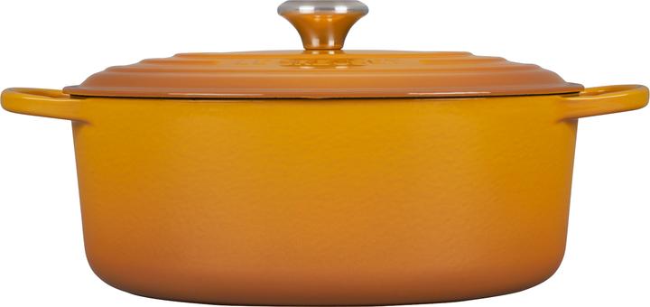 Image du produit Le Creuset Cocotte Signature ovale 31 cm Nectar (31 cm, Cocotte + faitout, Fonte)