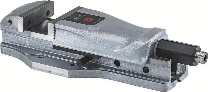 Röhm Machinebankschroef RB-K Bekbreedte 113 mm met snelverstelling Klembreedte 170 mm (170 mm)