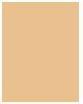 Image du produit Clarins Fondation Everlasting (Art. n° 108.3N Organza)