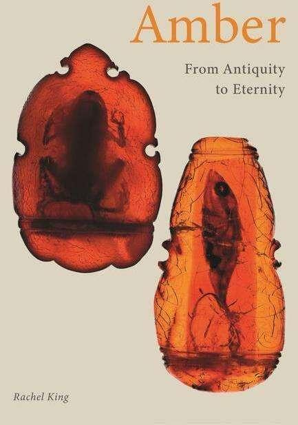 Immagine prodotto Amber (Inglese, Rachel King, 2022)