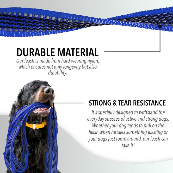 Actual product image Bluzelle 3m dog lead, double lead with carabiner, adjustable (Dog, Walks)